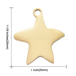 304 Stainless Steel Pendants&nbsp;STAS-I140-13G