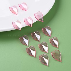 Transparent Acrylic Beads&nbsp;MACR-S373-103-C05