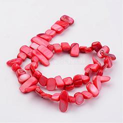 Natural Shell Bead Strands&nbsp;BSHE-P020-M