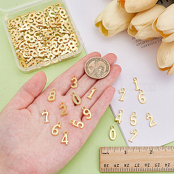 12 Sets Alloy Pendants&nbsp;TIBEP-ME0001-12G