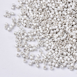 FGB 11/0 Grade A Glass Seed Beads&nbsp;SEED-S030-0335