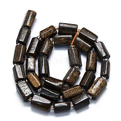 Natural Bronzite Beads Strands&nbsp;G-K245-I06-01