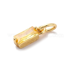 Brass Pave Cubic Zirconia Charms&nbsp;KK-F894-13G-06