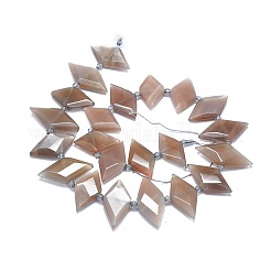 Natural Sunstone Bead Strands&nbsp;G-O179-H18