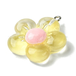 Translucent Resin Pendants&nbsp;RESI-P039-01P