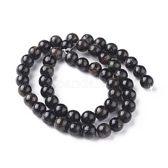 Natural Biotite Beads Strands&nbsp;G-L528-06C
