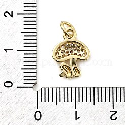 Brass Micro Pave Cubic Zirconia Charms&nbsp;KK-C134-30G