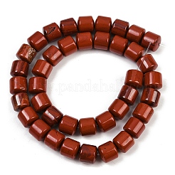 Natural Red Jasper Beads Strands&nbsp;G-G275-D08-10x10mm