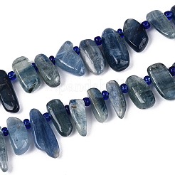 Natural Kyanite/Cyanite/Disthene Beads Strands&nbsp;G-Z091-A22