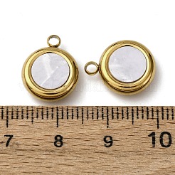 304 Stainless Steel Resin Pendants&nbsp;STAS-P406-15C-G