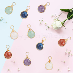 20Pcs 5 Styles Natural Green Aventurine & Rose Quartz & Dyed Blue Tiger Eye & Red Jasper & Amethyst Pendants&nbsp;PALLOY-BM00002