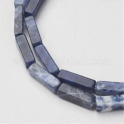 Natural Sodalite Beads Strands&nbsp;G-G968-D02