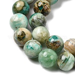 Natural Green Line Jasper  Beads Strands&nbsp;G-L639-A01-6mm