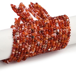 Natural Banded Agate Beads Strands&nbsp;G-P553-G09-03