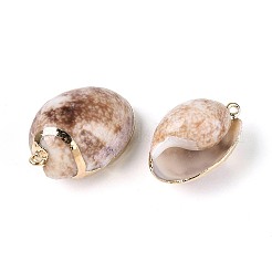 Electroplate Natural Shell Pendants&nbsp;SSHEL-N042-06