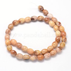 Oval Natural Agate Beads Strands&nbsp;G-P106-08