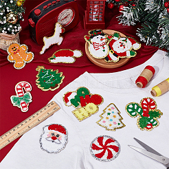 12Pcs 12 Styles Towel Cloth Computerized Embroidery Iron On/Sew On Patches&nbsp;DIY-FG0006-09