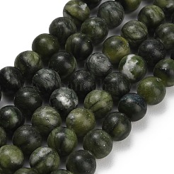 Natural Chinese Jade Beads Strands&nbsp;G-P626-10mm-01A