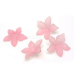 Transparent Acrylic Beads&nbsp;FACR-Q009-14