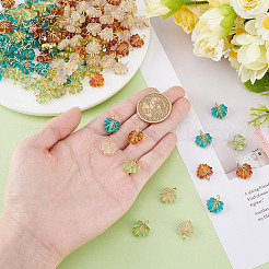 Transparent Acrylic with Iron Pendants&nbsp;PALLOY-HY00110