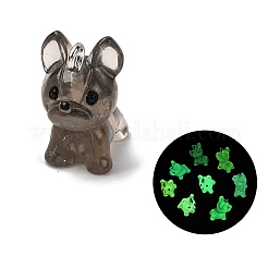 Luminous Transparent Resin Pendants&nbsp;RESI-Z043-02P