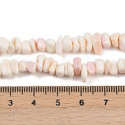 Natural Pink Shell Beads Strands&nbsp;SSHEL-L016-19