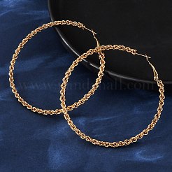 304 Stainless Steel Hoop Earrings&nbsp;EJEW-S250-02A-G