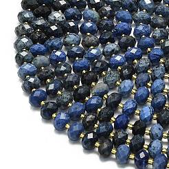 Natural Dumortierite Beads Strands&nbsp;G-P573-A48-01