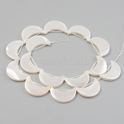 Electroplate Natural Freshwater Shell Beads Strands&nbsp;SHEL-T017-15B