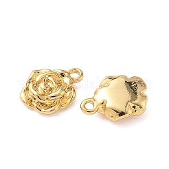 Brass Pendants&nbsp;KK-D024-14G