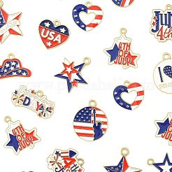60Pcs 15 Styles Independence Day Alloy Enamel Pandants&nbsp;FIND-FS0004-41