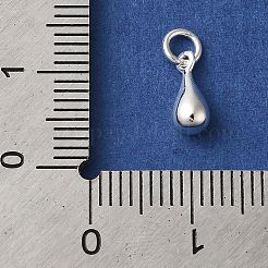 925 Sterling Silver Charms&nbsp;LS-STER-M120-01C-S