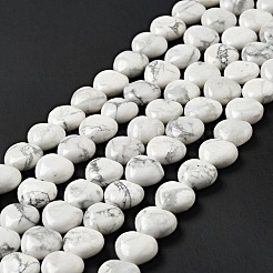 Natural Howlite Beads Strands&nbsp;G-B022-09C