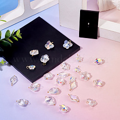 30Pcs 6 Styles Glass Pendants&nbsp;PALLOY-TAC0200