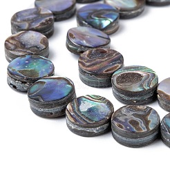 Natural Abalone Shell/Paua Shell Beads Strands&nbsp;LS-SSHEL-G003-5-8x3mm