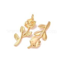 Brass Pendants&nbsp;KK-K382-27B-G