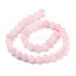 Natural Rose Quartz Beads Strands&nbsp;G-E571-07C