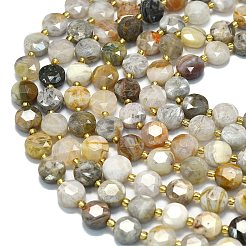 Natural Bamboo Leaf Agate Beads Strands&nbsp;G-C116-A91-01