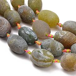 Natural Weathered Agate Beads Strands&nbsp;G-A321-M02-01