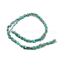 Dyed Natural Howlite Beads Strands&nbsp;G-G075-E03-01