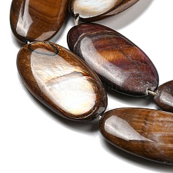 Dyed Natural Freshwater Shell Beads Strands&nbsp;BSHE-G034-23