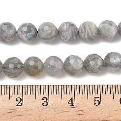 Natural Labradorite Beads Strands&nbsp;G-L642-F07-8mm