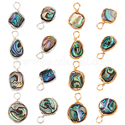 16Pcs 8 Styles Natural Abalone Shell/Paua Shell Pendants&nbsp;FIND-PH0008-89