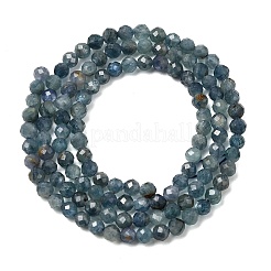 Natural Kyanite/Cyanite/Disthene Beads Strands&nbsp;G-G259-D04-3mm