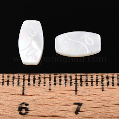 Natural White Shell Cabochons&nbsp;BSHE-T014-18