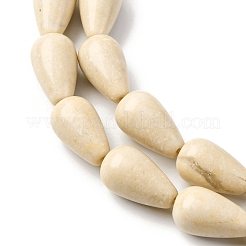 Natural Fossil Beads Strands&nbsp;G-F808-D01-02