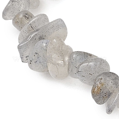 Natural Labradorite Chip Beaded Stretch Bracelets for Men Women&nbsp;BJEW-JB12086-01