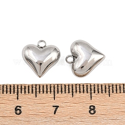 304 Stainless Steel Charms&nbsp;STAS-Z166-10P