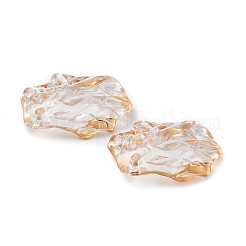 Transparent Acrylic Pendants&nbsp;TACR-D013-03