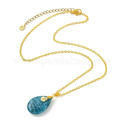 Natural Apatite Teardrop Pendant Brass Cable Chain Necklaces for Women&nbsp;NJEW-JN06122